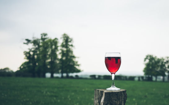 Cabernet Sauvignon